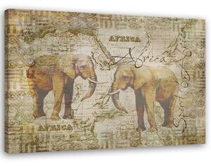 Obraz na plátne Dva dospelé slony - Andrea Haase Rozmery: 60 x 40 cm