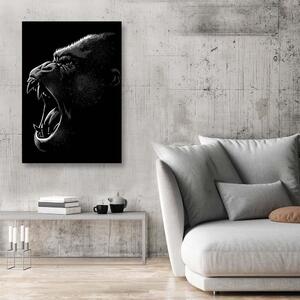 Obraz na plátne King Kong - Alberto Perez Rozmery: 40 x 60 cm