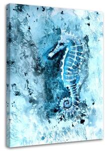 Obraz na plátne Morský koník natretý na modro - Marta Horodniczy Rozmery: 40 x 60 cm