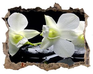 Samolepící nálepka fototapeta Orchidea nd-k-28908662