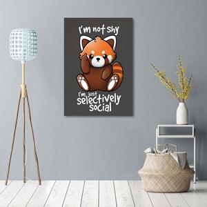 Obraz na plátne Červená panda - Noemi Fadda Rozmery: 40 x 60 cm