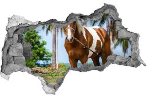Diera 3D fototapeta nálepka Pinto kôň nd-b-100317732