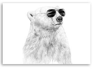 Obraz na plátne Čiernobiely medveď s okuliarmi - Rykker Rozmery: 60 x 40 cm