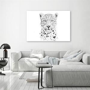 Obraz na plátne Čiernobiely leopard - Rykker Rozmery: 60 x 40 cm