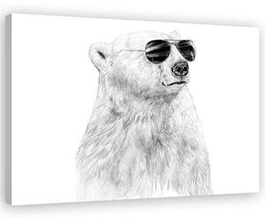 Obraz na plátne Čiernobiely medveď s okuliarmi - Rykker Rozmery: 60 x 40 cm
