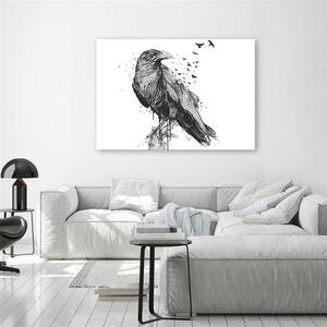 Obraz na plátne Čiernobiely vták - Rykker Rozmery: 60 x 40 cm
