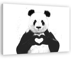 Obraz na plátne Panda so srdcom - Rykker Rozmery: 60 x 40 cm