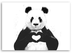 Obraz na plátne Panda so srdcom - Rykker Rozmery: 60 x 40 cm
