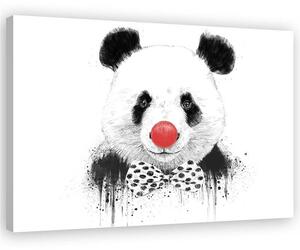Obraz na plátne Panda s klaunským nosom - Rykker Rozmery: 60 x 40 cm