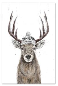 Obraz na plátne Jeleň v zimnej vianočnej čiapke - Rykker Rozmery: 40 x 60 cm