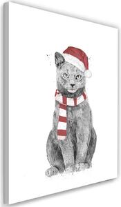 Obraz na plátne Vianočná mačka v červenom klobúku - Rykker Rozmery: 40 x 60 cm