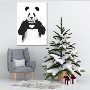 Obraz na plátne Panda so srdcom - Rykker Rozmery: 40 x 60 cm