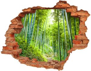 Fotoobraz diera na stenu Bambusové lesy nd-c-60510509