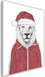 Obraz na plátne Lev v červenej vianočnej čiapke - Rykker Rozmery: 40 x 60 cm