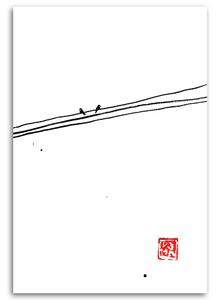 Obraz na plátne Vtáky na drôte - Péchane Rozmery: 40 x 60 cm