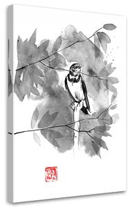 Obraz na plátne Čiernobiely vrabec na konári - Péchane Rozmery: 40 x 60 cm