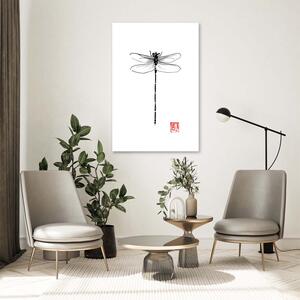 Obraz na plátne Čiernobiela vážka - Péchane Rozmery: 40 x 60 cm