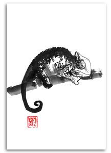 Obraz na plátne Chameleón čb - Péchane Rozmery: 40 x 60 cm