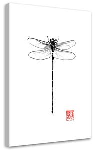 Obraz na plátne Čiernobiela vážka - Péchane Rozmery: 40 x 60 cm