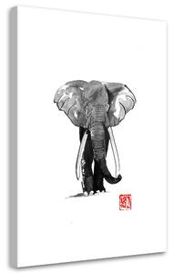 Obraz na plátne Prechádzka so slonom - Péchane Rozmery: 40 x 60 cm