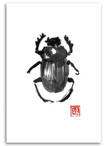 Obraz na plátne Jarný chrobák - Péchane Rozmery: 40 x 60 cm