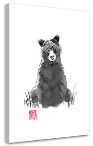 Obraz na plátne Medveď - Péchane Rozmery: 40 x 60 cm