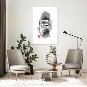 Obraz na plátne Gorila - Péchane Rozmery: 40 x 60 cm