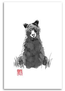 Obraz na plátne Medveď - Péchane Rozmery: 40 x 60 cm