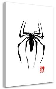Obraz na plátne Čierny pavúk - Péchane Rozmery: 40 x 60 cm