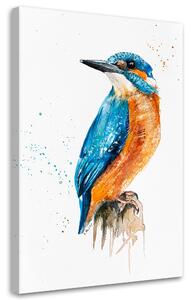 Obraz na plátne Kingfisher - Dorota Martyńska Rozmery: 40 x 60 cm