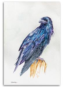 Obraz na plátne Bluebird - Dorota Martyńska Rozmery: 40 x 60 cm
