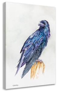Obraz na plátne Bluebird - Dorota Martyńska Rozmery: 40 x 60 cm