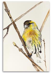 Obraz na plátne Žltý zvedavý vták - Dorota Martyńska Rozmery: 40 x 60 cm