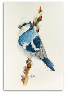 Obraz na plátne Malý modrý vták - Dorota Martyńska Rozmery: 40 x 60 cm