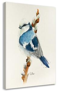Obraz Malý modrý vták - Dorota Martyńska Veľkosť: 40 x 60 cm, Prevedenie: Obraz na plátne