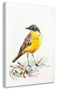 Obraz na plátne Žltý vták - Dorota Martyńska Rozmery: 40 x 60 cm