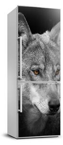 Nálepka fototapeta chladnička Portrét vlka