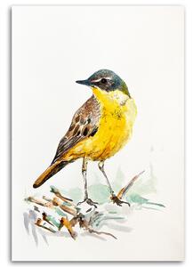 Obraz na plátne Žltý vták - Dorota Martyńska Rozmery: 40 x 60 cm