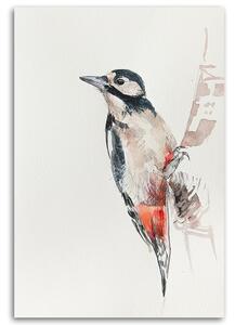 Obraz na plátne Červený a čierny vták - Dorota Martyńska Rozmery: 40 x 60 cm