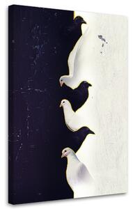 Obraz na plátne Tri biele holuby - Patryk Andrzejewski Rozmery: 40 x 60 cm
