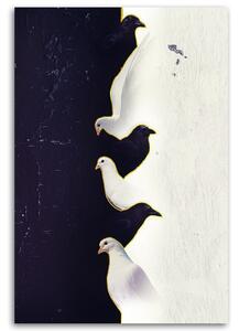 Obraz na plátne Tri biele holuby - Patryk Andrzejewski Rozmery: 40 x 60 cm