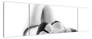Obrazy nahé ženy (Obraz 170x50cm)