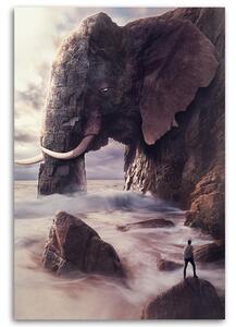Obraz na plátne Slon v skale - Patryk Andrzejewski Rozmery: 40 x 60 cm