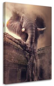 Obraz na plátne Slon z nebies - Patryk Andrzejewski Rozmery: 40 x 60 cm
