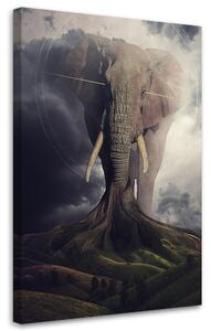 Obraz na plátne Zakorenený slon - Patryk Andrzejewski Rozmery: 40 x 60 cm