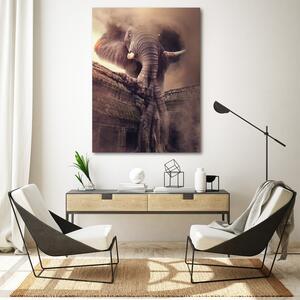 Obraz na plátne Slon z nebies - Patryk Andrzejewski Rozmery: 40 x 60 cm