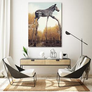 Obraz na plátne Zebra a brezové nohy - Patryk Andrzejewski Rozmery: 40 x 60 cm
