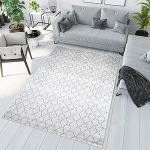 Svetlý sivý moderný koberec s jednoduchým vzorom Šírka: 80 cm | Dĺžka: 150 cm