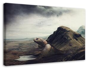 Obraz na plátne Obrovská korytnačka v púšti - Patryk Andrzejewski Rozmery: 60 x 40 cm