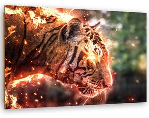 Obraz na plátne Ohnivý tiger - Alex Griffith Rozmery: 60 x 40 cm